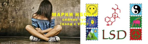 МДПВ Карпинск