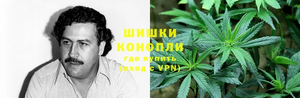 спиды Майский