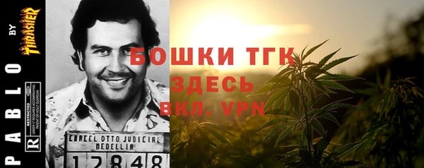 МДПВ Карпинск