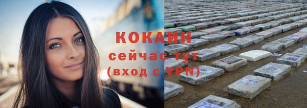 спиды Майский
