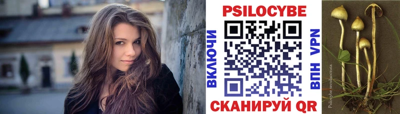 маркетплейс телеграм закладка Семикаракорск Псилоцибиновые грибы Psilocybe